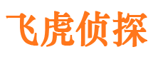 广南找人公司